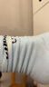 Hello Kitty儿童抗菌袜子春秋防臭袜女童中筒袜学生短袜 UKU4022搭色 24cm  实拍图
