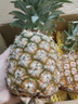 鲜武士海南凤梨金钻凤梨大果菠萝手撕无眼脆甜新鲜热带水果 金钻凤梨大果3斤装 实拍图