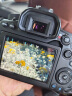 佳能（Canon） EOS 90D套机  单反相机 佳能90d 单机 EOS新款vlog数码相机 佳能90D18-135USM套机 套餐一【64G内存卡~送豪华摄影大礼包】 晒单实拍图