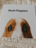 暇步士（Hush Puppies）礼品袋为家人准备一份特别的礼物，购买皮带即刻获赠精美礼品袋！ 实拍图
