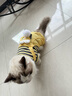 华元宠具猫咪衣服宠物四脚防掉毛小猫猫衣服秋冬季薄绒幼猫无毛猫可爱服装 【薄绒】四脚背带裤—黄 L：胸围45cm(建议7-10斤） 实拍图