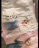 迪士尼（Disney）迪士尼艾莎女童内裤儿童平角三角裤纯棉a类爱莎女孩四角宝宝短裤 实拍图