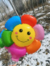 酷依宝网红太阳花笑脸花朵气球雏菊户外儿童生日拍照装饰圣诞运动会 实拍图
