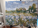 史历克 数字油画DIY世界大师名作合集1手工涂色画创意减压填色油画 夏日鸢尾（伊斯顿）FZ-147 40*50cm 彩布(要自己涂色) 实拍图