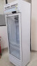雪花（SNOWFLK）展示柜冷藏商用冰柜冰箱保鲜柜立式冷藏柜冷藏展示柜饮料柜冷柜 单门风冷展示柜 实拍图
