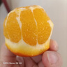 赣南脐橙 江西地区特产手剥橙 当季新鲜橙子水果 纽荷尔脐橙橙子 农夫山泉17.5°橙钻石果3kg纸箱装 实拍图