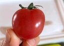 京地达荷兰水果黄瓜圣女果组合4.5斤装 小西红柿青瓜 新鲜蔬菜源头直发 实拍图