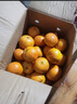 柏馋广西沃柑新鲜纯甜橘子当季时令水果桔子柑橘应季整箱正宗当季 精选5斤净重4.5斤 大果65-70mm 实拍图