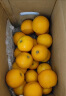 京鲜生 秭归伦晚脐橙5kg 单果约170-220g 新鲜水果 晒单实拍图