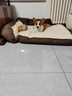 华元宠具（hoopet）狗窝四季通用可拆洗保暖狗垫子金毛柯基睡垫狗床小中大型犬窝沙发 【经典简约】狗狗沙发-焦糖咖 XL120*90*25【100斤内大型犬】 实拍图