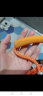 Aseblarm晾衣绳室外晒被绳户外加粗凉衣服的绳子钢丝拉紧扣楼顶晾被子神器 6mm白色/5米(钢丝芯款) 晒单实拍图