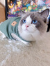 宠星记 宠物衣服 小型犬狗狗 小猫咪 冬季居家防飘毛 泰迪比熊雪纳瑞 绿色特大号XXL 胸围46-50cm 实拍图