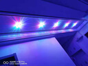 灯泉 led射灯玄关灯吊顶天花孔灯牛眼筒灯水晶过道灯走廊灯孔灯 LED3w彩光 暗装-开孔5-10cm 实拍图