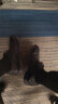 红蜻蜓夏季商务正装系带皮鞋男士镂空皮凉鞋打孔透气 WTA73761L黑色39 晒单实拍图