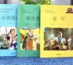 【全3册】快乐读书吧六年级上册 爱的教育+童年+小英雄雨来 赠阅读书册 五升六暑假阅读书籍教材配套阅读书目 实拍图