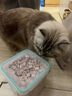 熹宠宠物冻干鹌鹑猫零食鸡肉粒鸡胸牛肉鸭肉桶装增肥发腮狗狗猫粮猫咪 冻干鸭肉粒-大桶装680g 实拍图