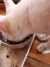 趣味多(CheriShed)猫粮500g1斤 海鲜多挑嘴猫亮毛护肤幼猫成猫通用天然猫粮 500g 晒单实拍图