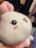 红运来小兔子毛绒玩具公仔玩偶布娃娃睡觉抱枕七夕情人节送女友老婆礼物 粉色余生都是你 1.5米（+小兔子） 实拍图