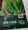 花沃里卵圆茄100粒/包蔬菜种子四季蔬菜种籽速成菜阳台盆栽庭院田间种 实拍图