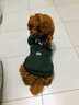 SLPC狗狗衣服小型犬泰迪衣服两脚卫衣猫咪服装比熊博美法斗宠物衣服 墨绿色 XL（8.5-12斤左右） 实拍图