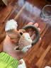 贵为（GiGwi）发声猫玩具小猫幼猫自嗨解闷逗磨牙耐咬猫咪玩具逗猫棒蜜蜂 实拍图