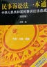 民事诉讼法一本通——中华人民共和国民事诉讼法总成（第四版） 实拍图