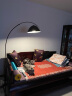 JOICO瑞士品牌极简钓鱼灯客厅落地灯轻奢沙发设计师高级感氛围灯 意式小号-遥控调光 晒单实拍图