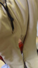 GENIOLAMODE森马集团加绒裤男士冬季加厚双面休闲裤子男生束脚棉裤 杏色 2XL 实拍图