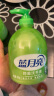 蓝月亮芦荟抑菌洗手液500g*3瓶+300g*2瓶  专业抑菌99.9%  实拍图