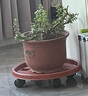 生长魔励移动花盆托盘万向轮 加厚滚轮圆形托盘接水盘滑轮底座花卉盆栽 茶色5号内径35cm 实拍图