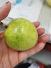 卡布诺海南黄金百香果甜种钦蜜9号黄色百香果特大鸡蛋果新鲜应季水果 3斤中大果精品装【彩箱】单果70g+ 实拍图