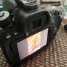 佳能（Canon）EOS系列 单机身 二手单反微单相机 高清照相机 半画幅 80D 机身 颜色样式规格可参考质检报告 实拍图