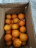 甜果源 湖南麻阳冰糖橙子 高山甜橙子果冻脐橙时令应当季新鲜水果礼盒品 净重9斤【超值实惠】 单果65-70mm（稀缺豪华大号果） 实拍图