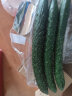 小汤山 北京 有机黄瓜 350g 基地直供新鲜蔬菜 晒单实拍图