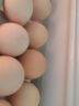 1号会员店富硒鲜鸡蛋30枚 源头直发 实拍图