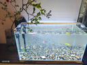 森森（SUNSUN）鱼缸水族箱超白玻璃水草缸造景桌面缸 超白600标配(含灯 水泵 超白鱼缸) 实拍图