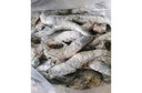 厄瓜多尔大虾海鲜生鲜虾类海鲜鲜活王牌大虾特大白虾厄瓜多尔 1盒装 1.65kg(净重)  /盒（30-40） 实拍图