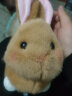 快乐音符儿童电动毛绒小兔子会唱歌学舌智能玩偶可遥控动耳的萌宠公仔玩具 棕色萌兔 USB智能充电 实拍图