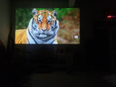 奥图码（Optoma） UHD506投影仪家用4K超高清家庭影院3D游戏网课侧投投影机3400流明 标配 3400流明4K超高清 实拍图