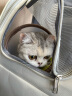 HOUYA猫包外出大号 双肩手提便携时尚出行宠物太空舱航空箱 灰色 实拍图