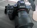 索尼/Sony A7 A7R2 A7R4 A7M2  A7M4 A7C全画幅二手微单 4K直播相机 索尼A7R2【A7RII单机身】 【95新】 实拍图