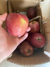 生活＆好管家洛川苹果红富士苹果25年新果 陕西延安特产时令生鲜水果礼盒 净重4.5斤单果200g+ 实拍图