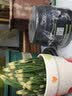 德沃多园艺花肥花卉肥料植物绿植药剂水溶肥磷酸二氢钾硫酸亚铁 500g 磷酸二氢钾 500g 实拍图