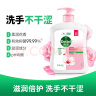 滴露（Dettol）健康抑菌洗手液滋润500g+500g瓶补充装液替换 儿童洗手消毒家庭装 实拍图