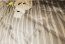 九洲鹿 加厚印花夹棉床笠 可水洗床罩防尘罩 1.5米床 防滑床垫保护套 实拍图