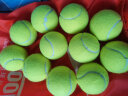 天龙（Teloon）网球训练球进阶初学专业比赛网球耐磨 801初学训练-散装30个送背带手胶 实拍图
