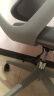 乐歌（Loctek）人体工学电脑椅子 办公椅 会议椅 家用转椅 座椅 Y11 实拍图