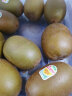 佳沛（zespri）新西兰阳光金奇异果33粒原箱单果重约103-114g水果猕猴桃 实拍图