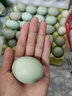我老家新鲜绿壳乌鸡蛋 谷饲喂养 农场直供 50枚 1900g 实拍图