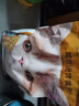 威尔逊馋嘴 加菲猫专用猫粮增肥缓泪痕幼成猫美毛亮肤猫粮 【升级款5斤】生骨肉冻干+猫粮 实拍图